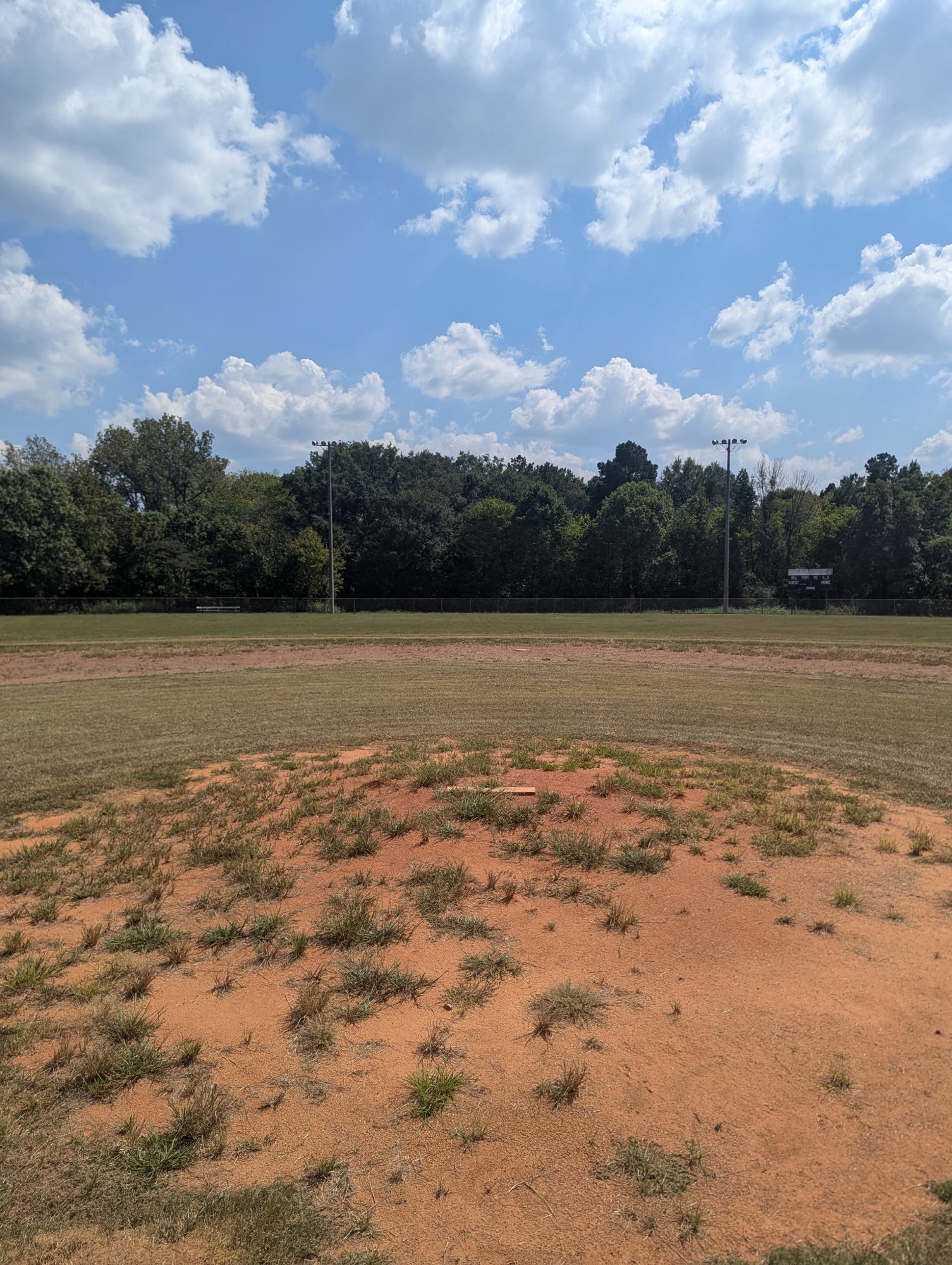 Tippy Field before cleanup showing weeds throughout the infield